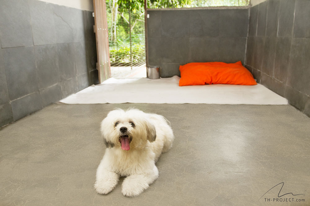 Canis do Tunghats Resort: Espaço Comfort