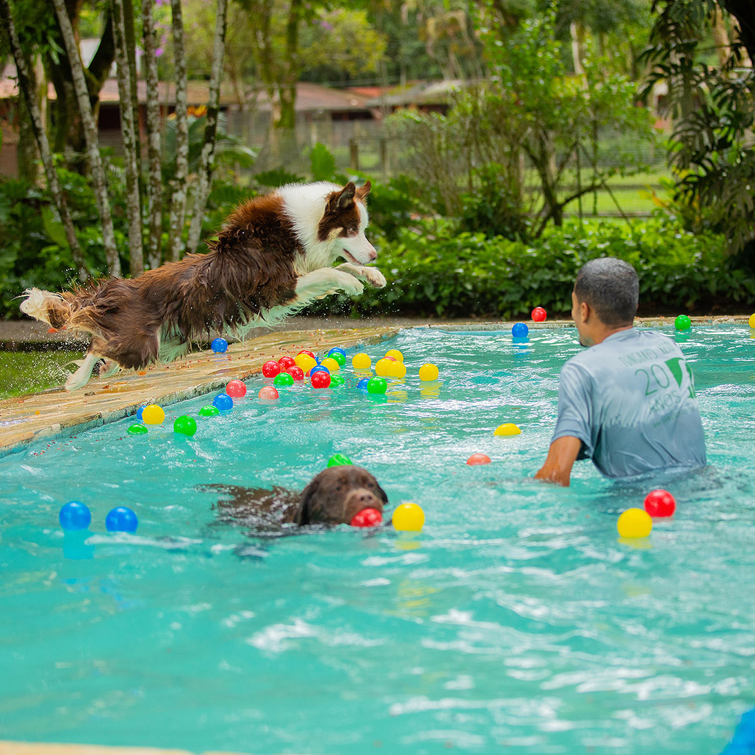Nossos hóspedes se divertindo na piscina do Resort