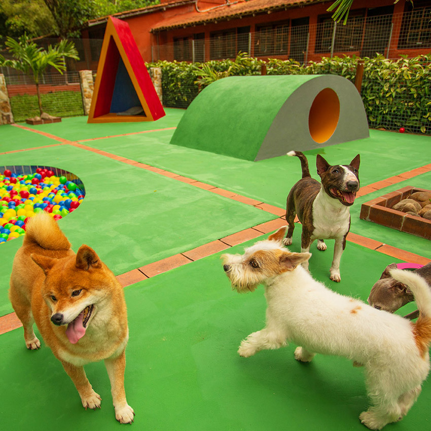 Estrutura Tunghats Resort