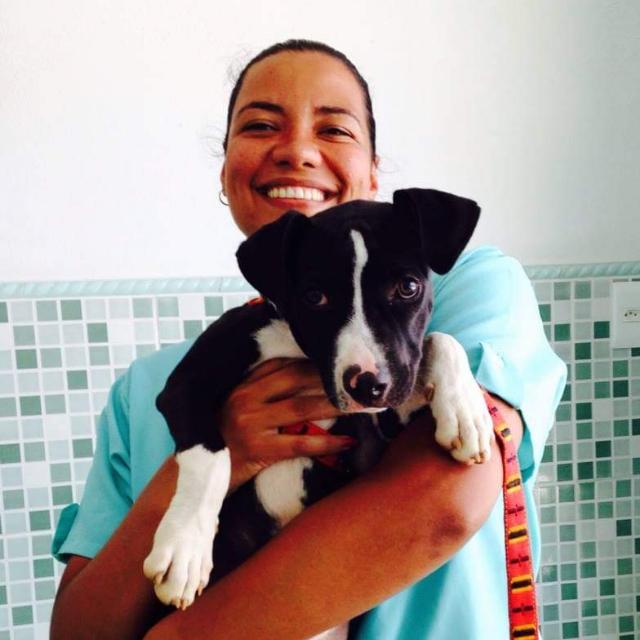 Veterinaria Responsável: Dra Erica Oliveira