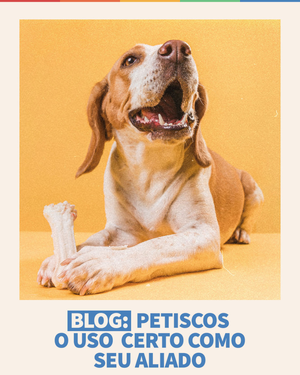 Imagem Blog Tunghats Resort