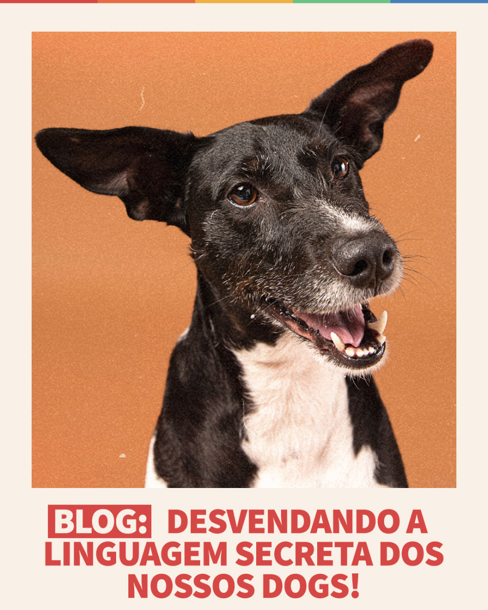 Imagem Blog Tunghats Resort