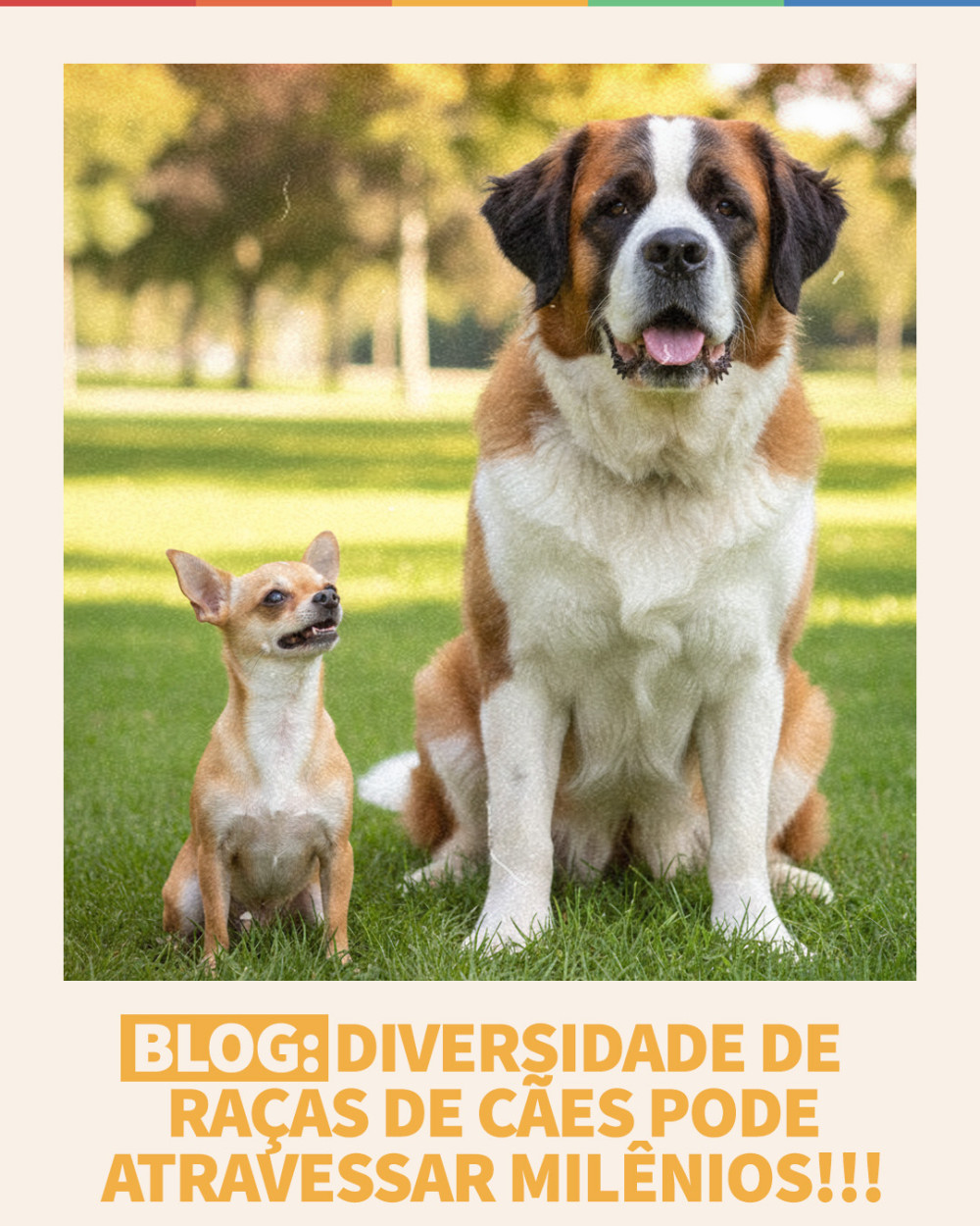 Imagem Blog Tunghats Resort