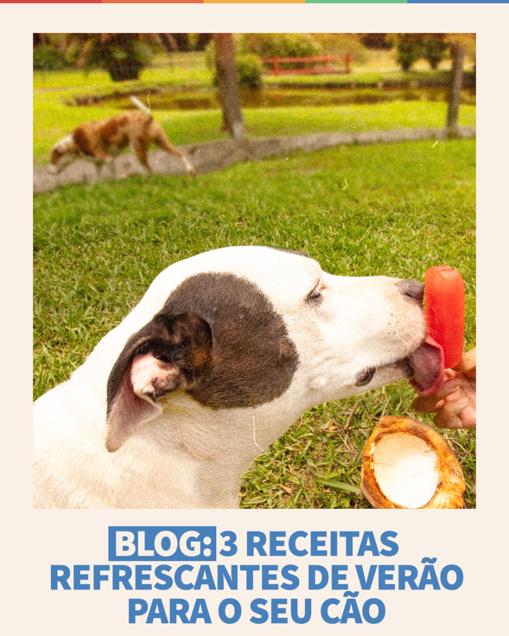 Imagem Blog Tunghats Resort