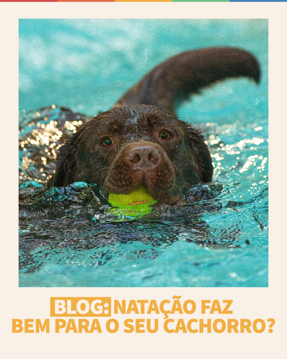 Imagem Blog Tunghats Resort