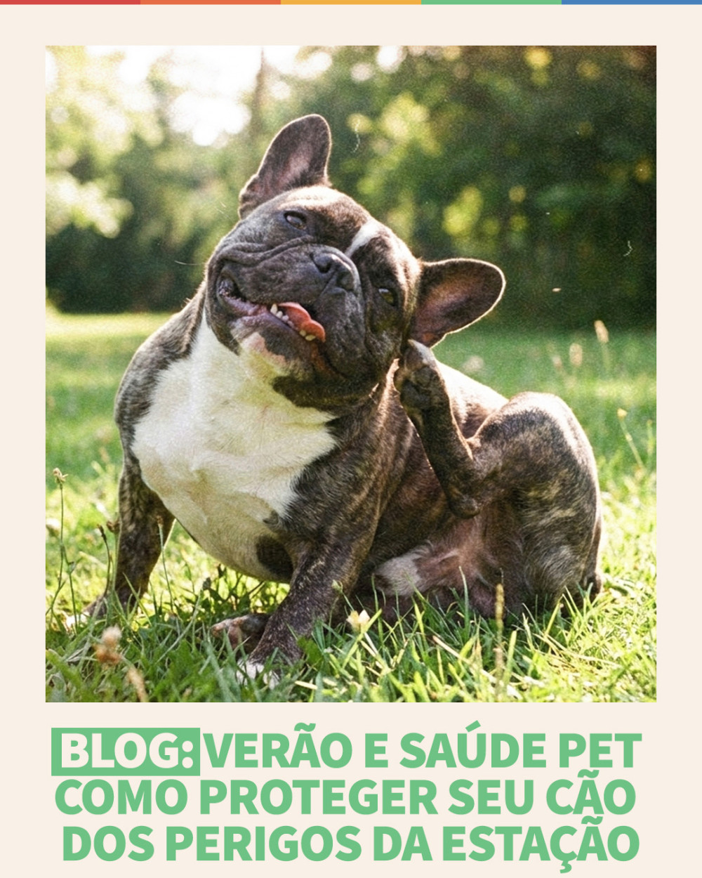 Imagem Blog Tunghats Resort