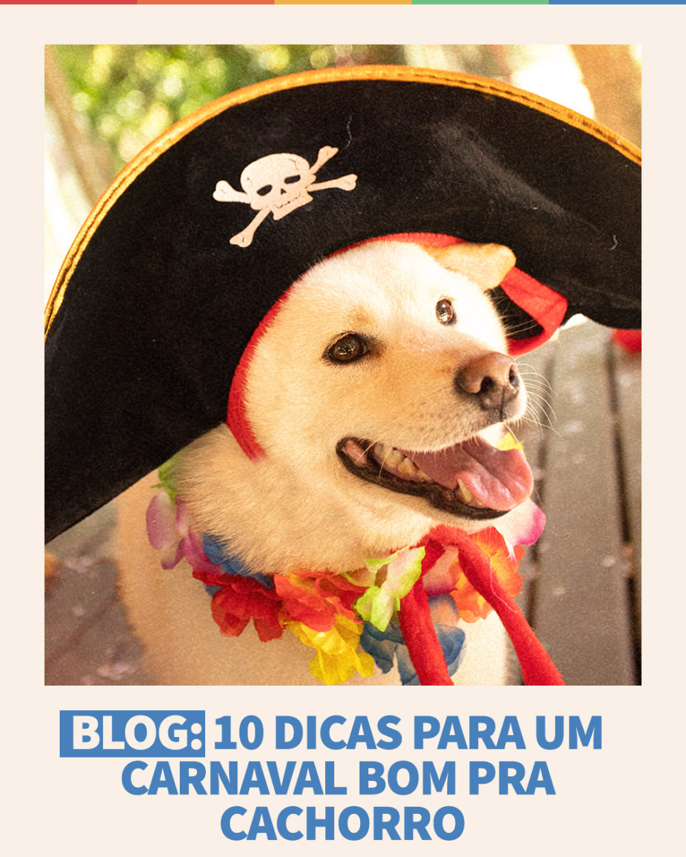 Imagem Blog Tunghats Resort