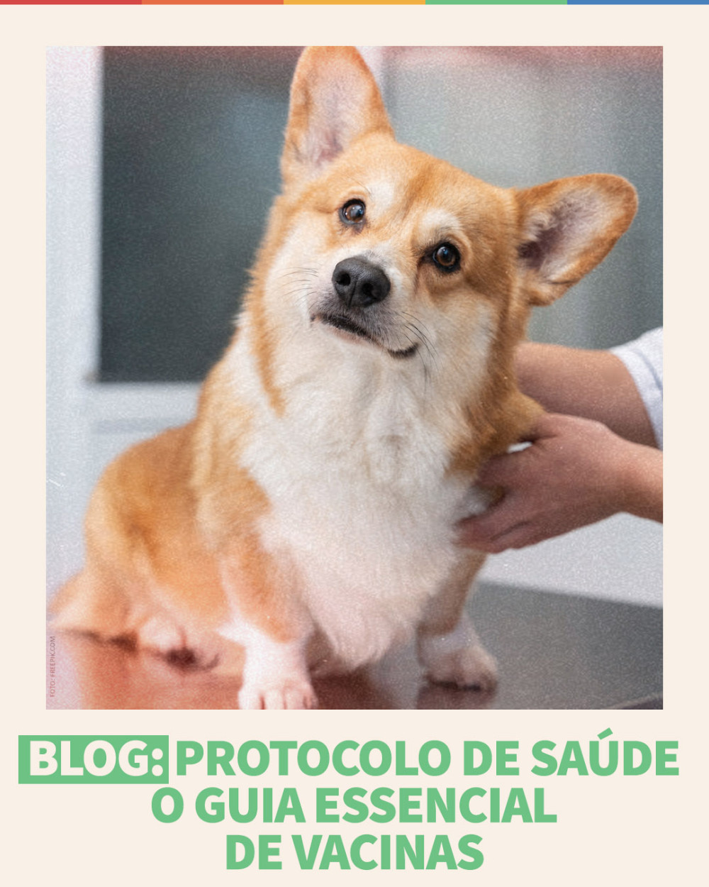 Imagem Blog Tunghats Resort