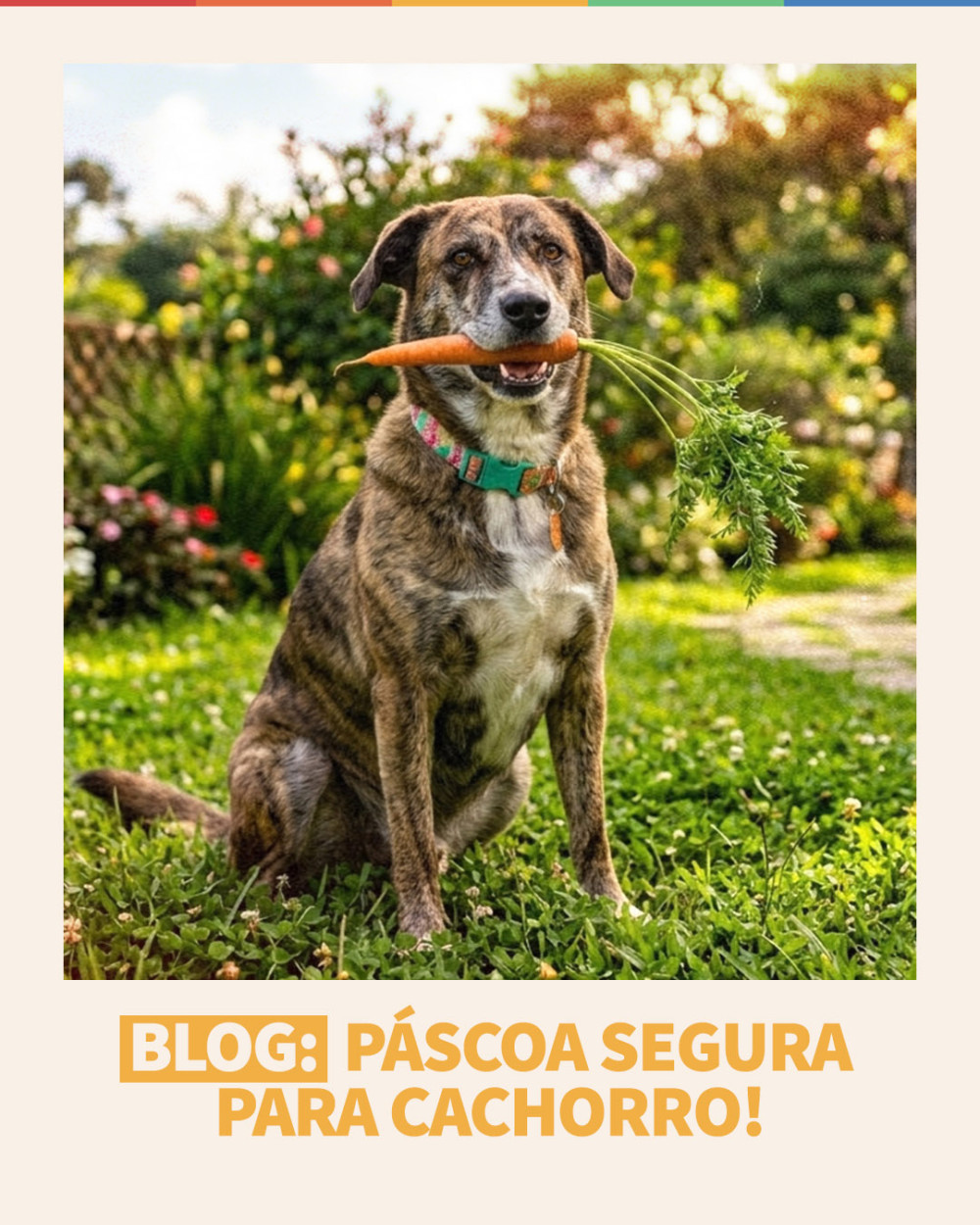 Imagem Blog Tunghats Resort