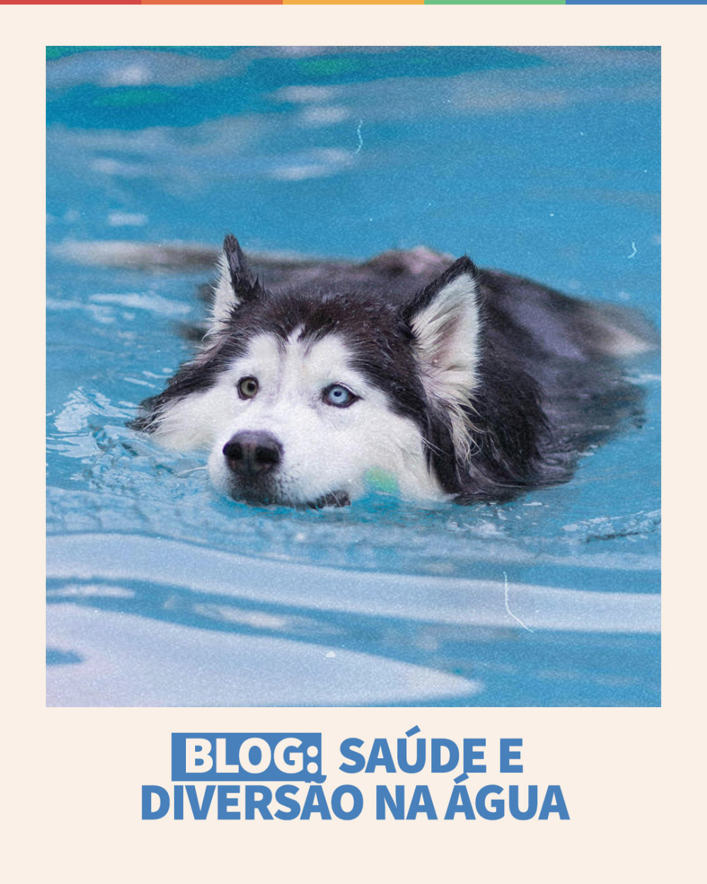 Imagem Blog Tunghats Resort