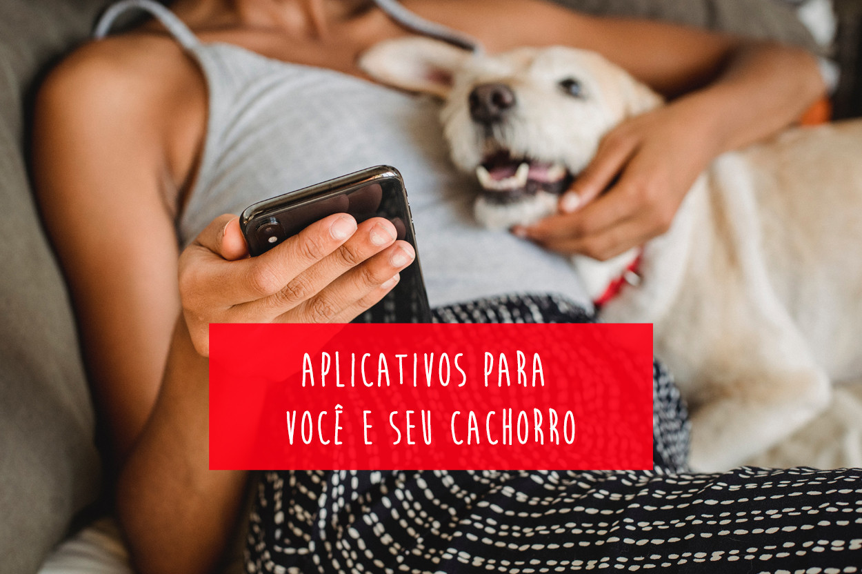 5 jogos para quem ama animais