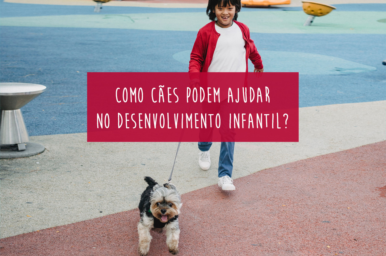 Como adotar um cachorro em Nova York - nossa experiência! – Blog