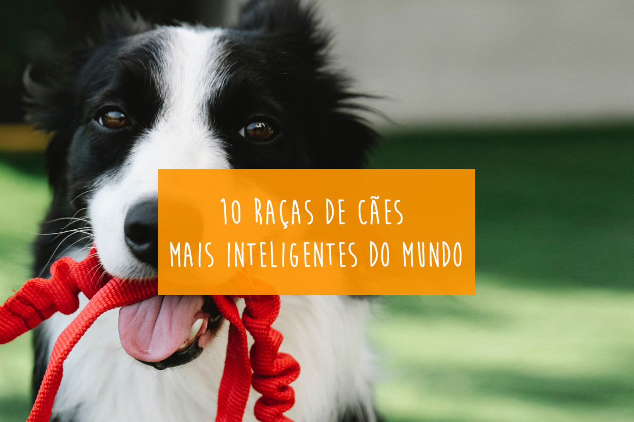 Imagem Blog Tunghats Resort