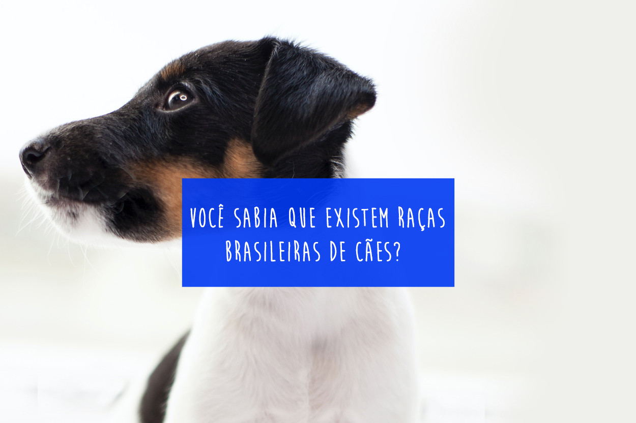 Imagem Blog Tunghats Resort