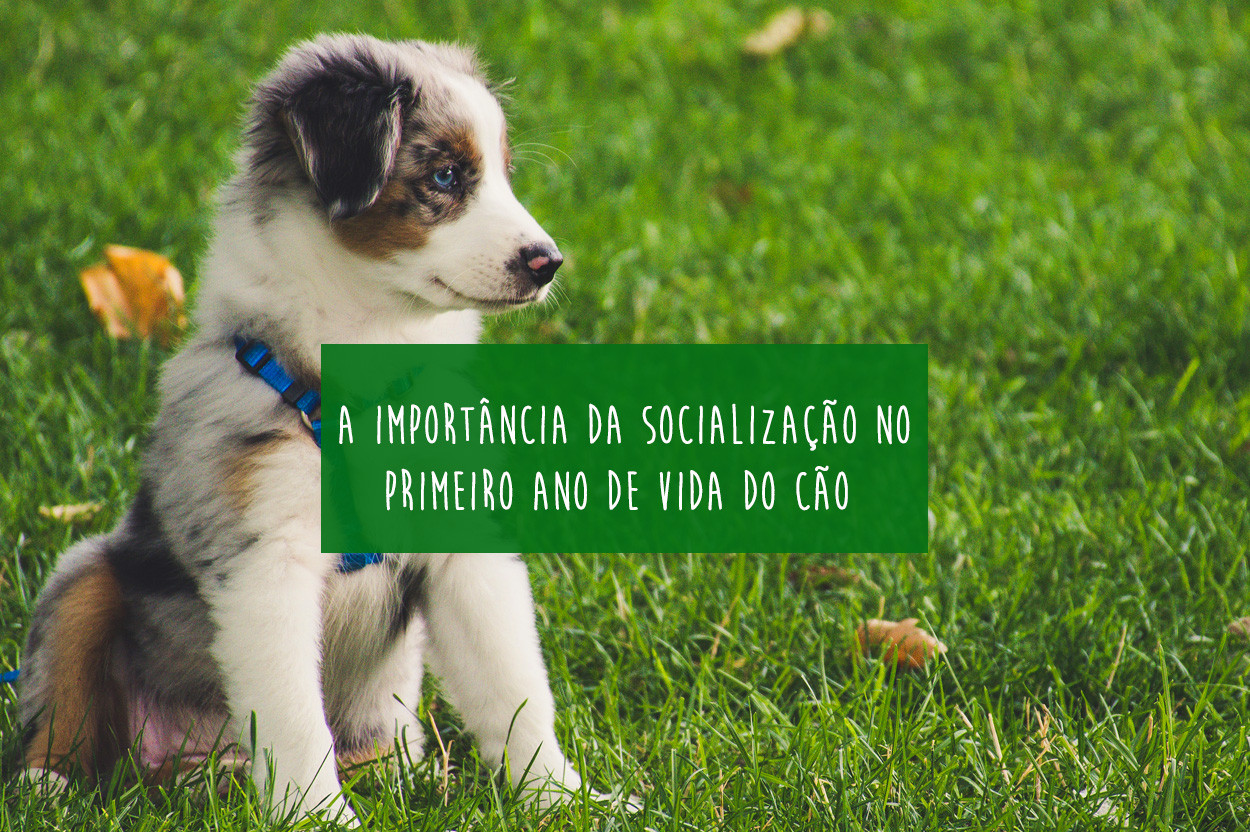 Imagem Blog Tunghats Resort