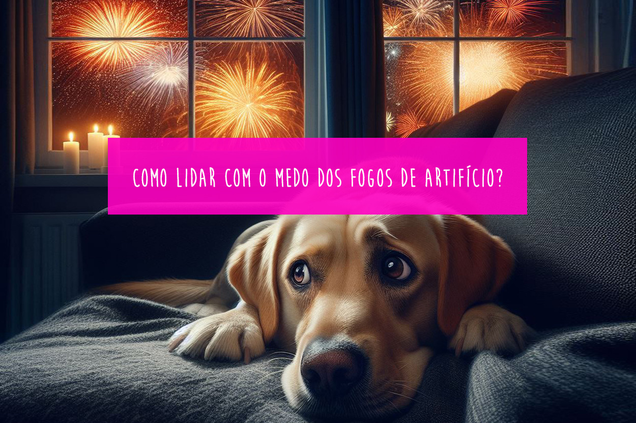 Imagem Blog Tunghats Resort