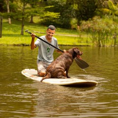 Galeria de Imagens de Estrutura: Standup em uma Lago com o Dog?! Só no Tunghat's Resort