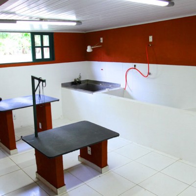 Galeria de Imagens: Estrutura no Tunghat's Resort: sala de banho