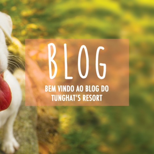 Imagem Blog Tunghats Resort